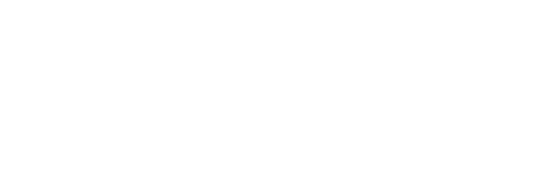 President's Gold Award